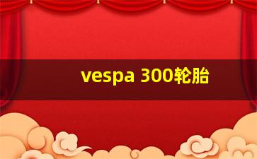 vespa 300轮胎